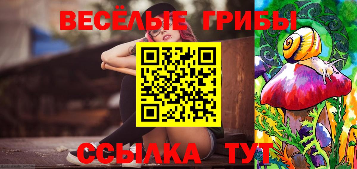 где можно купить   Псилоцибиновые грибы Magic Shrooms  Долгопрудный  Вход с VPN  Псилоцибиновые грибы мицелий 